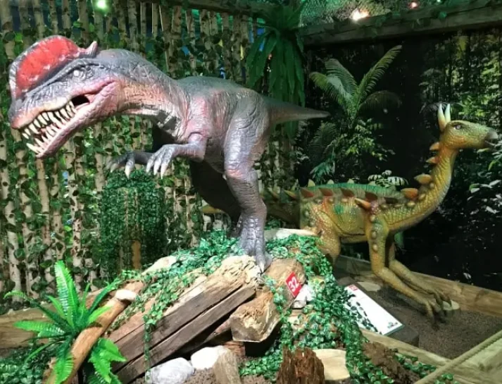 68148adede26d_dino6-min-min